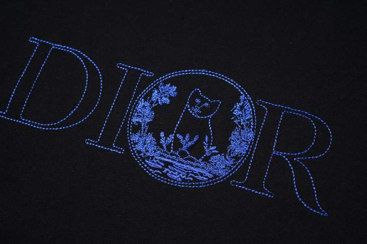 Dior T Shirts Short _SKUDiorS-3XLyktrT10115874